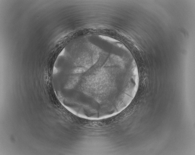 X0000114650966200911171047