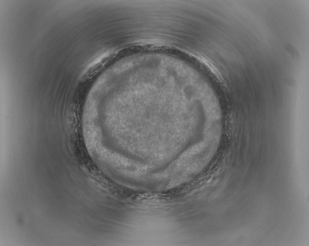 X0000114650967200911171047