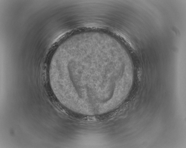 X0000114650968200911171047