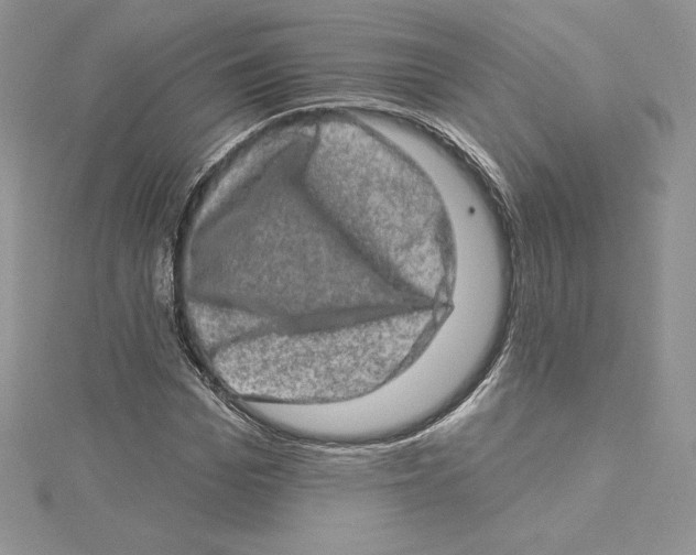 X0000114650969200911171047