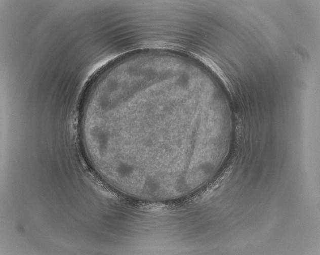 X0000114650971200911171047