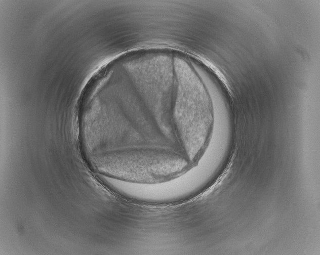 X0000114650973200911171047