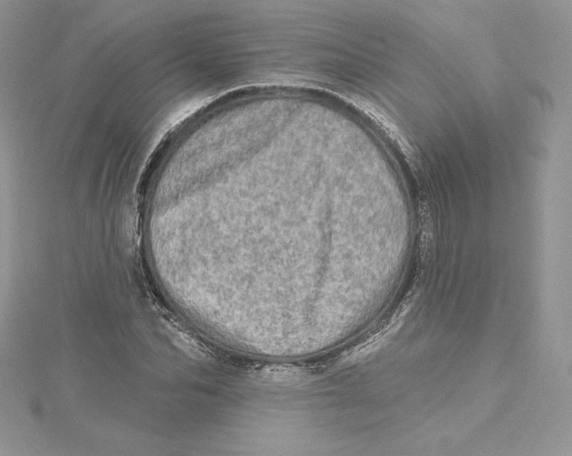 X0000114650974200911171047