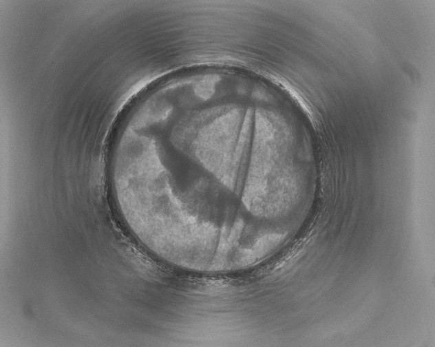 X0000114650975200911171047