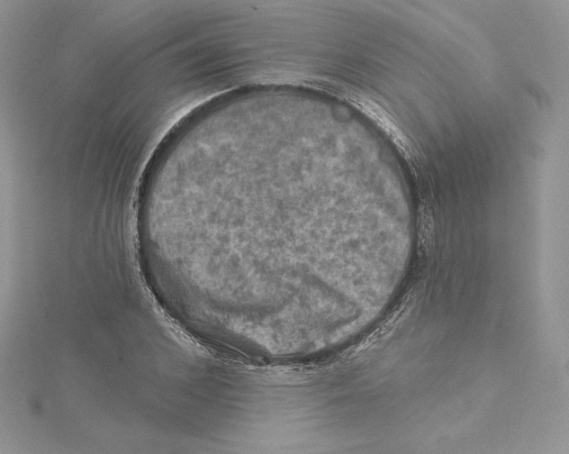 X0000114650976200911171047