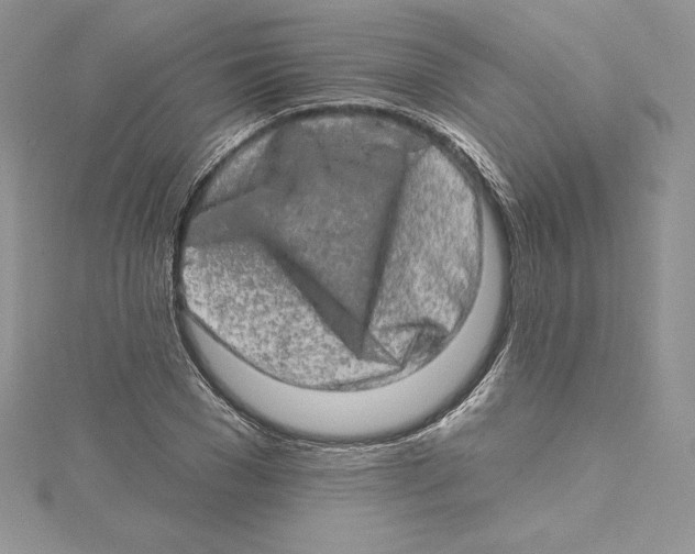 X0000114650977200911171047