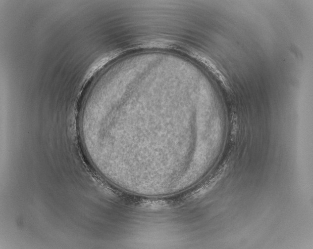 X0000114650978200911171047