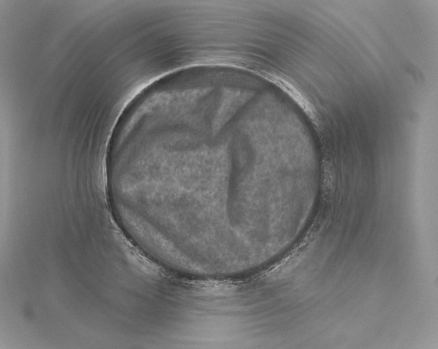 X0000114650980200911171046