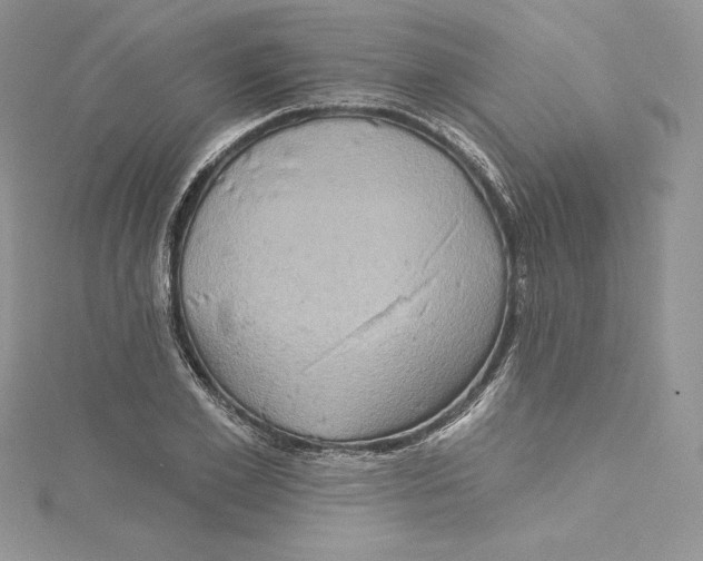 X0000114650981200911171046