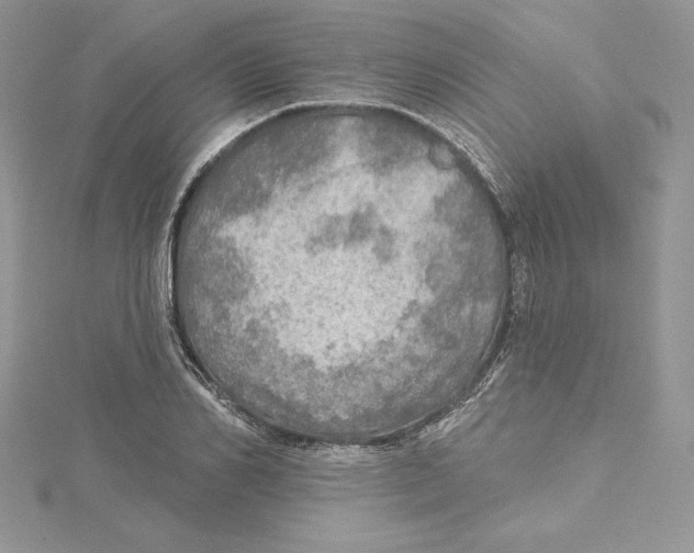 X0000114650982200911171046