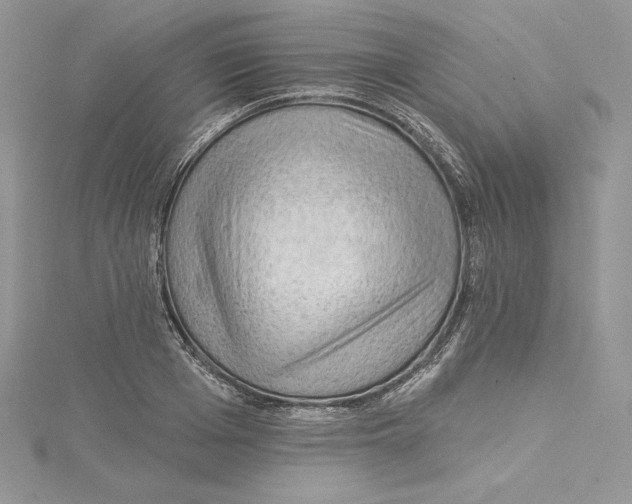 X0000114650985200911171046