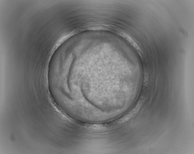 X0000114650986200911171046