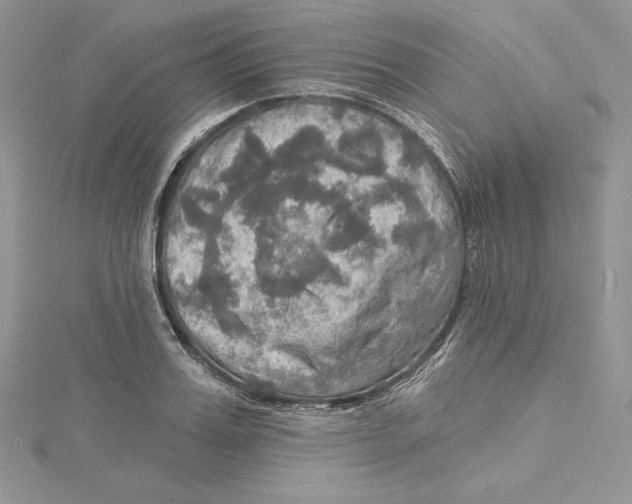 X0000114650987200911171046