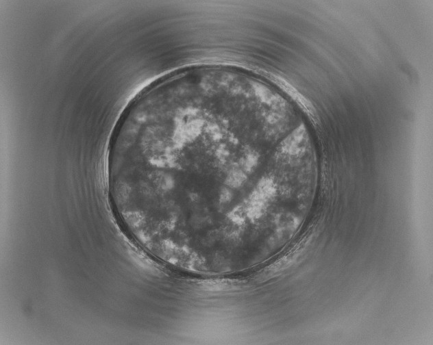 X0000114650988200911171046