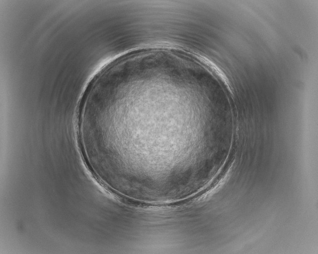 X0000114650989200911171046