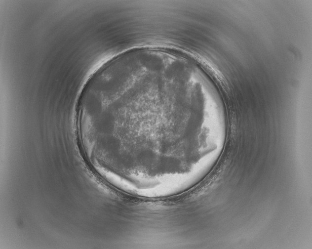 X0000114650990200911171046