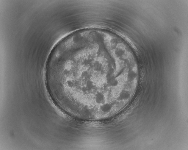 X0000114650991200911171046