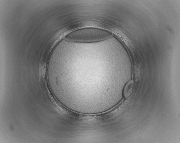 X0000114650993200911171046