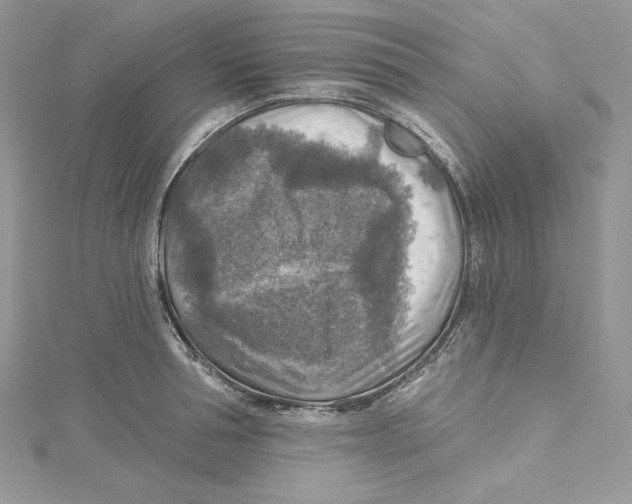 X0000114650994200911171046