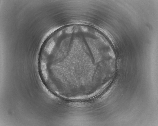 X0000114650995200911171046