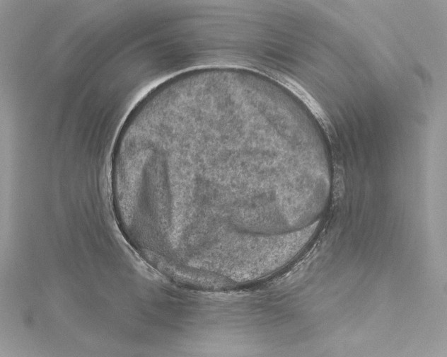 X0000114650996200911171046