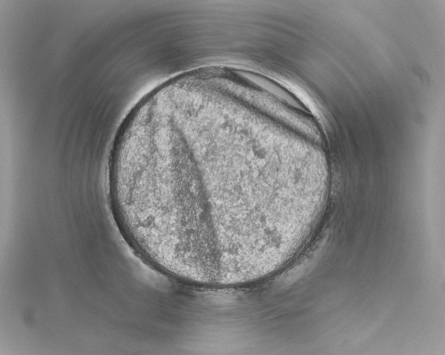 X0000114650999200911171046