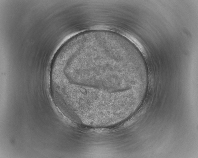 X0000114651000200911171046