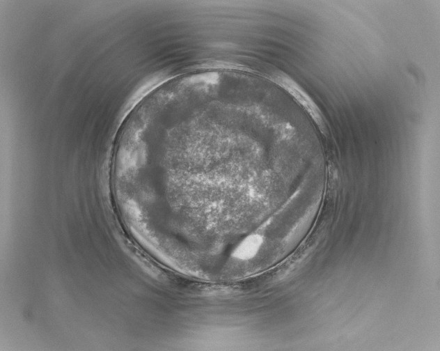 X0000114651002200911171046