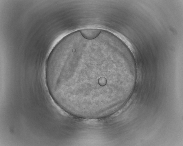 X0000114651006200911171046