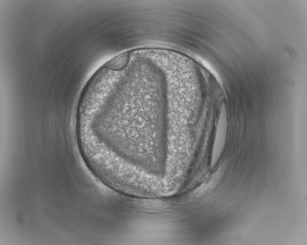 X0000114651007200911171046