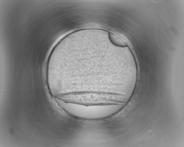 X0000114651008200911171046