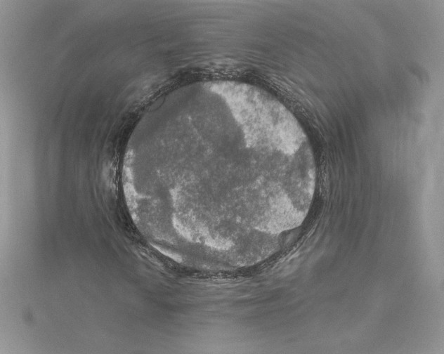 X0000114651010200911171046