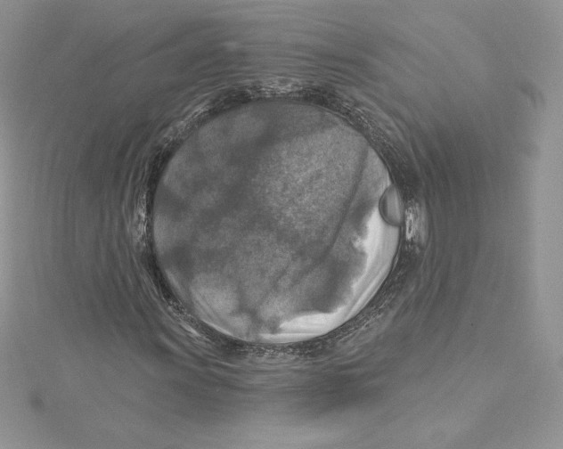 X0000114651011200911171046