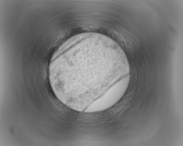 X0000114651012200911171046