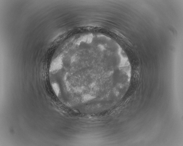 X0000114651014200911171046