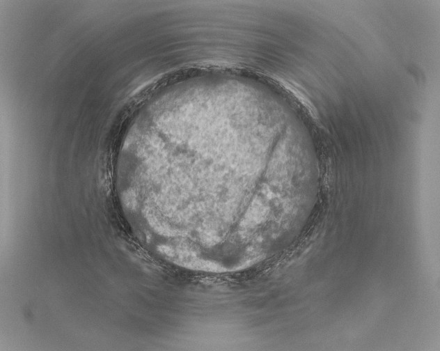 X0000114651015200911171046