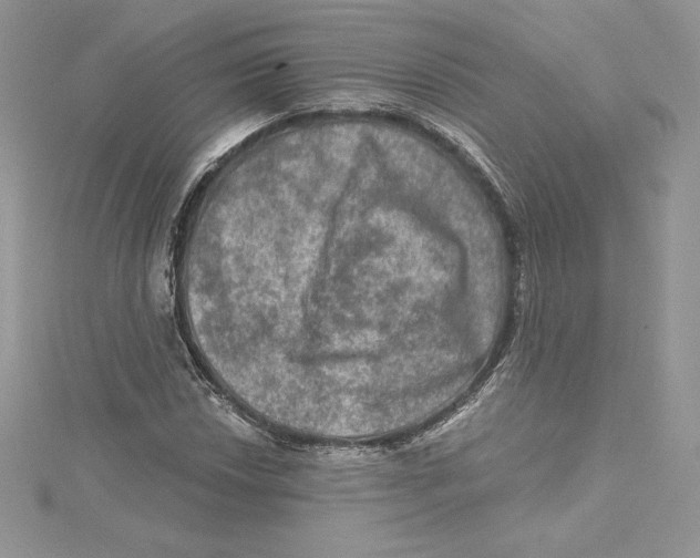 X0000114651018200911171046