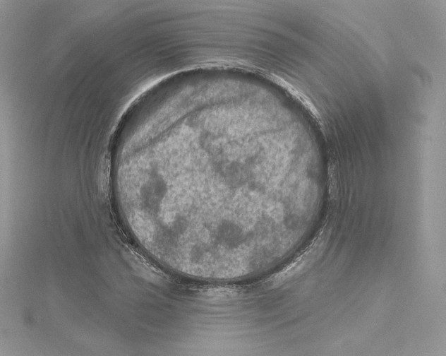 X0000114651021200911171046