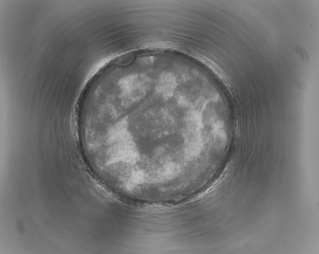 X0000114651022200911171046