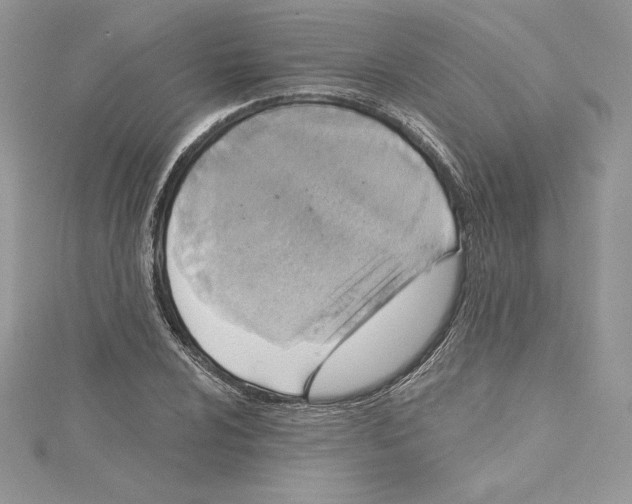 X0000114651024200911171046