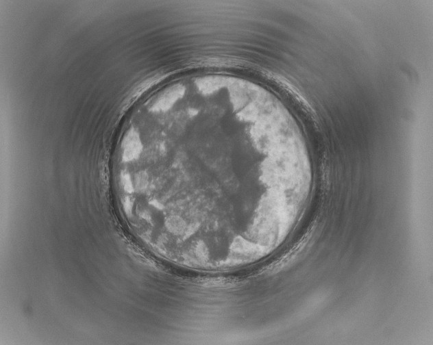 X0000114651025200911171046