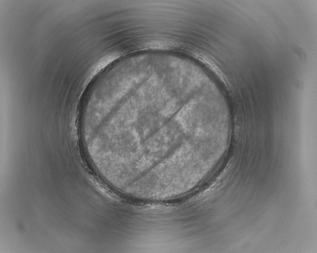 X0000114651026200911171046