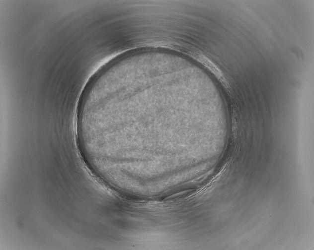 X0000114651028200911171046