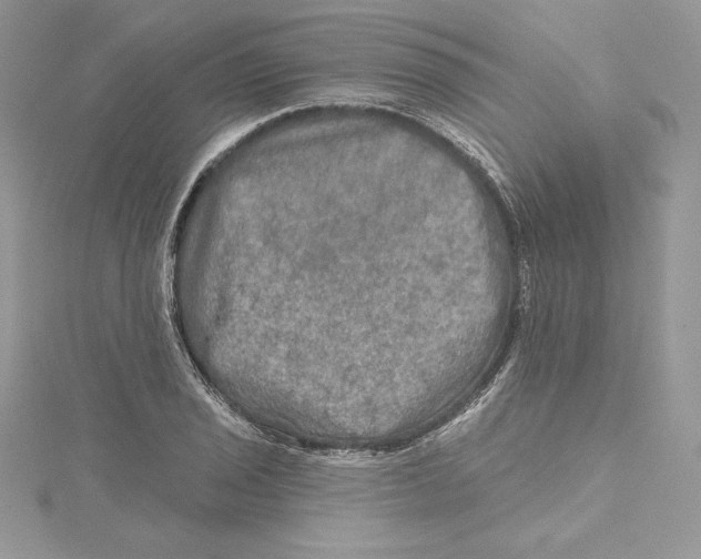 X0000114651029200911171046