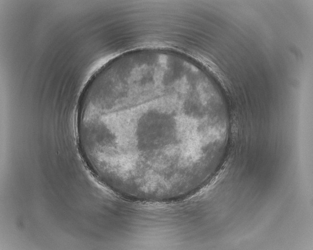 X0000114651030200911171046