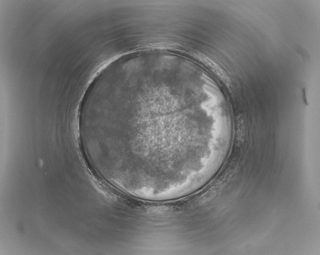 X0000114651031200911171046