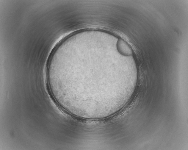 X0000114651032200911171046