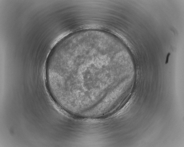 X0000114651034200911171046