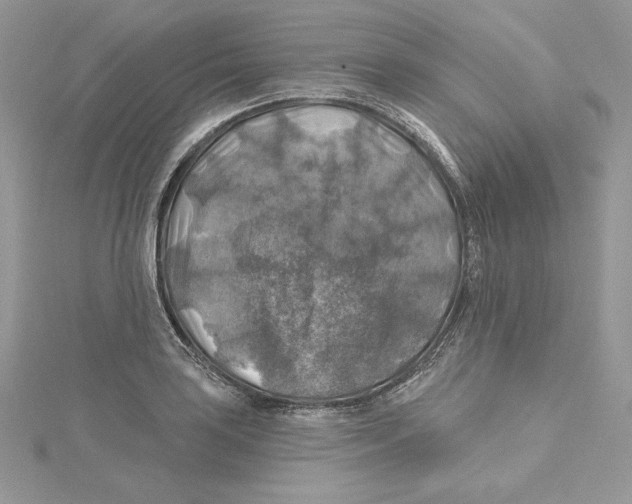 X0000114651035200911171046