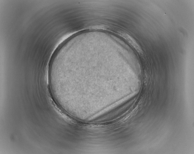 X0000114651036200911171046